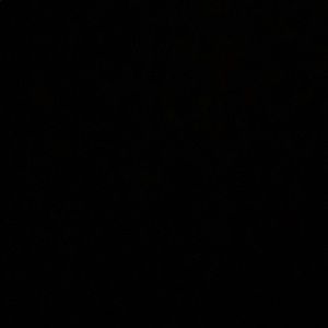 Meet your Posher, Alan